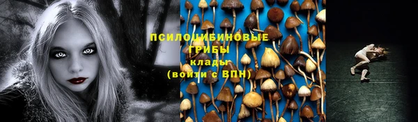 трава Абинск