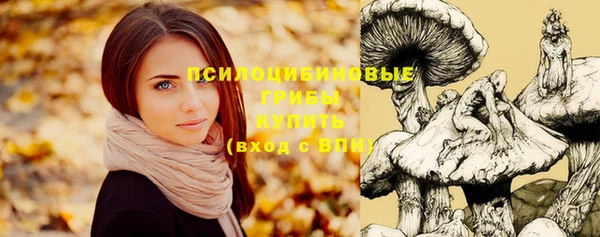 трава Абинск