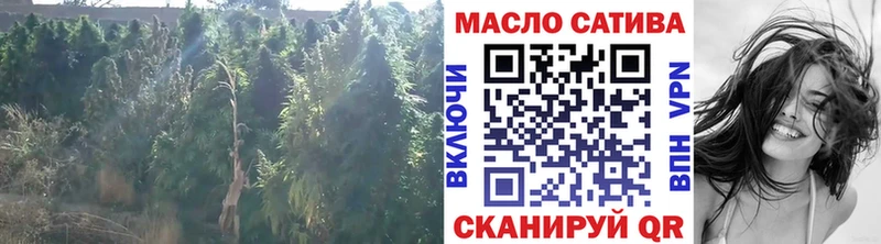 где купить наркотик  Дивногорск  ТГК Wax 